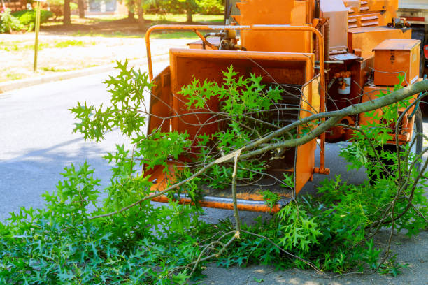 Best Tree Mulching  in Mount Carmel, IL